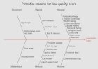 Fishbone Diagram for Low Quality Score