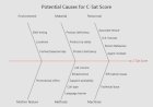 FIshbone Diagram on C-Sat Score