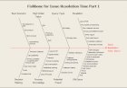 Fishbone on Issue Resolution Time