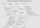 Fishbone on High Probing Time