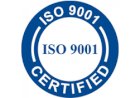 Organization Maturity and ISO 13053