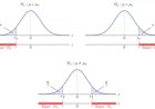 Infer Whether Null or Alternate is True as Seen from the Image