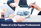 Skype Session 1- Roles of a Six Sigma Professional