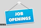 AVP - Six Sigma/reengineering/ Excellence/program Management - BPO