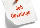 Business Analyst
