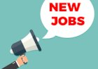 Senior Manager - Design Coordinator