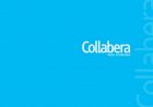 Senior Business Process Analyst