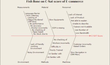 Fishbone on C-SAT Score