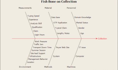 Fishbone Collection Daigram