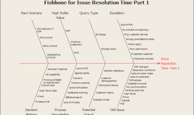 Fishbone on Issue Resolution Time