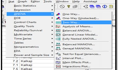 Understanding 2 Way Anova using MInitab