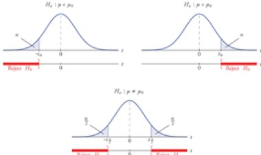 Infer Whether Null or Alternate is True as Seen from the Image