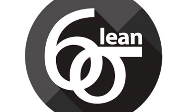 Sr Director - Quality (black Belt)