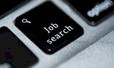 Assistant Manager Quality