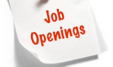 ASSISTANT DIRECTOR- BUSINESS IMPROVEMENT