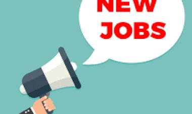 Operations Excellence Analyst