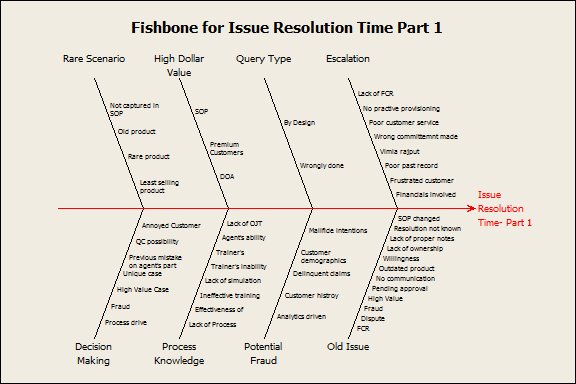 Fishbone on Issue Resolution Time