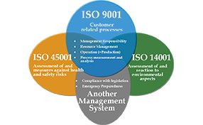 Supplier management in QMS – 1