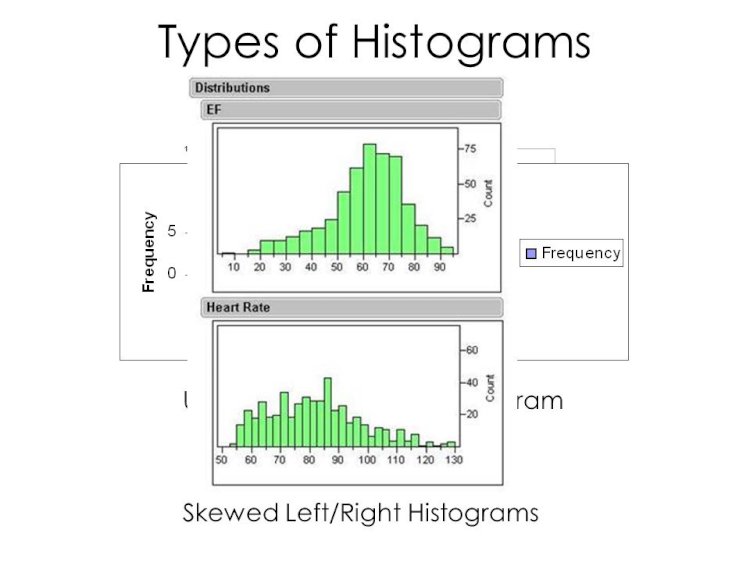 Data Representation with Various Types of Histograms
