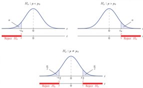 Infer Whether Null or Alternate is True as Seen from the Image