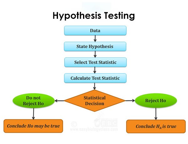 Hypothesis Testing When Y & X are Both Continuous