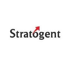 Process / Quality Analyst